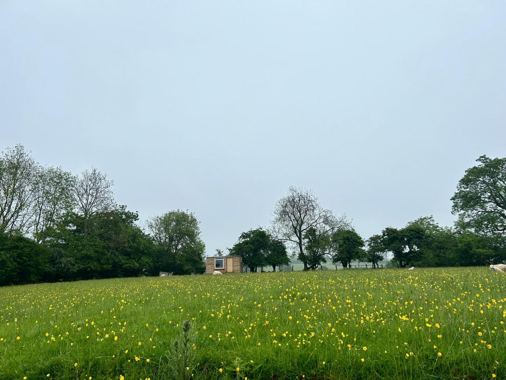 Off Grid Shepherds Hut Llansilin Exterior foto